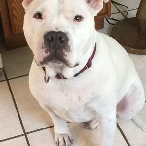 Meet your Posher, Carolyn